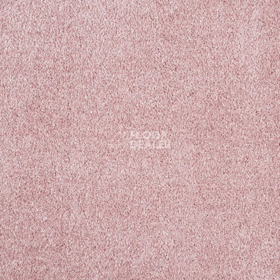 Ковролин AW Scent 60 фото 1 | FLOORDEALER